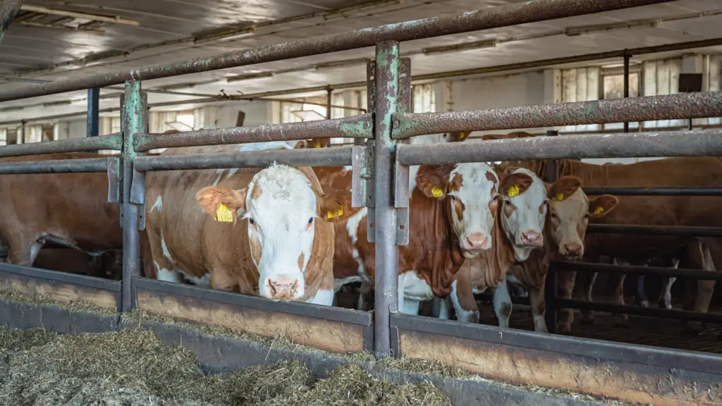 Fotograf Landwirtschaft