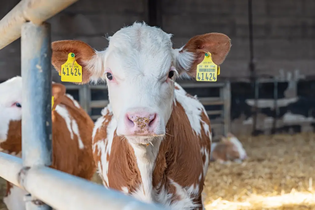Fotograf Landwirtschaft