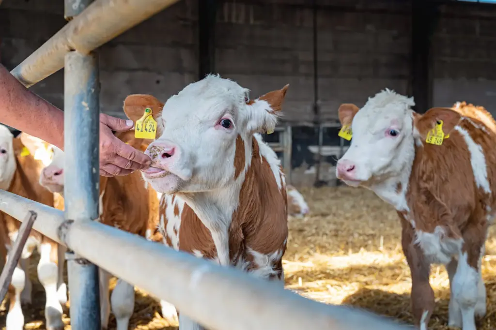 Fotograf Landwirtschaft